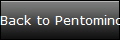 Back to Pentominoes