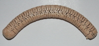 Curved Curved